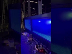 جودة عالية منفذ المصنع الصيني وحدات مسبقة الصنع حاوية شحن حوض سباحة